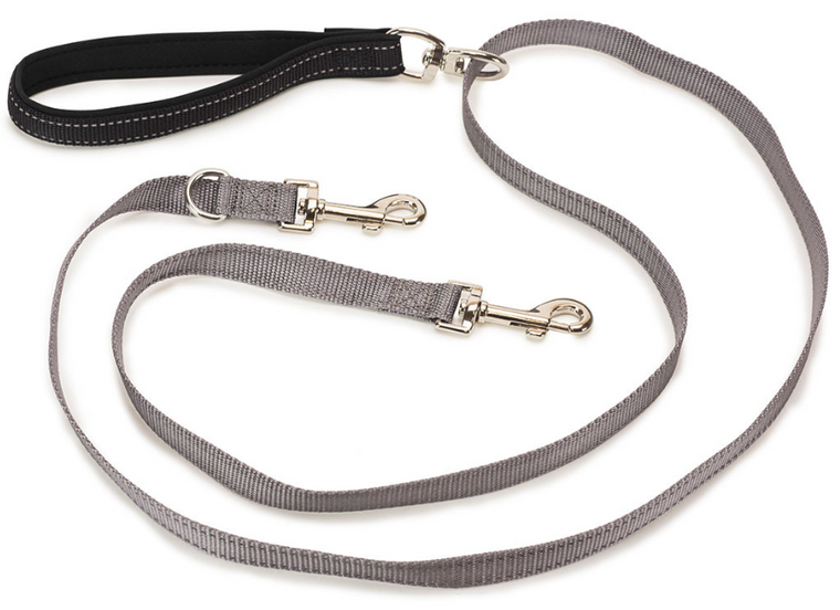 3/4 PetSafe Two Point Control Dog Leash