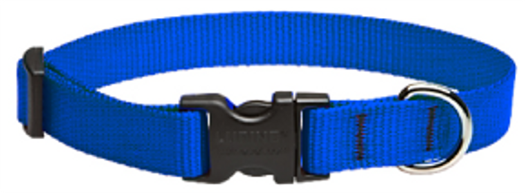 Lupine Collar Blue 3/4" 9-14