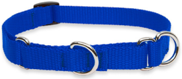 Lupine Combo Collar Blue 3/4" 14-20