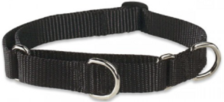 Lupine Combo Collar Black 3/4" 14-20