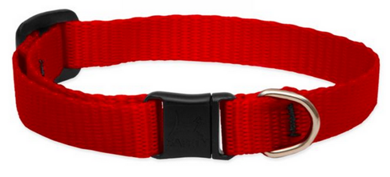 Lupine Safety Cat Collar Red 1/2" 8-12
