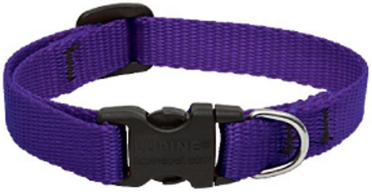 Lupine Collar Purple 1/2" 8-12
