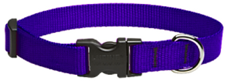 Lupine Collar Purple 3/4" 15-25