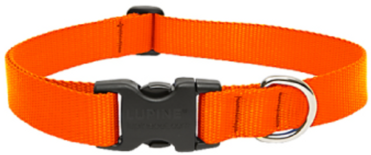 Lupine Collar Orange 1" 16-28