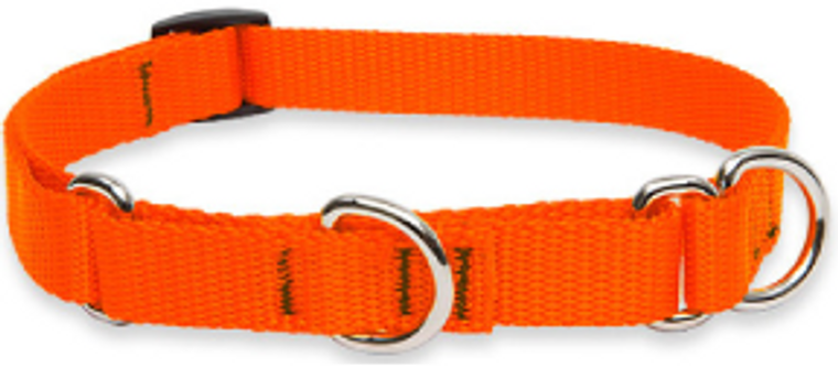 Lupine Combo Collar Orange 3/4" 14-20