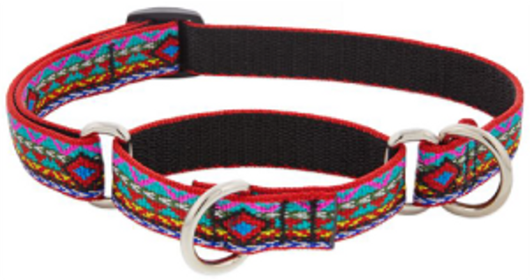 Lupine Combo Collar El Paso 3/4" 14-20