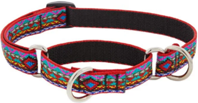 Lupine Combo Collar El Paso 1" 14-22