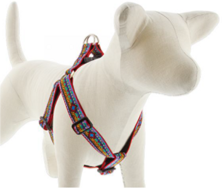 Lupine Step-In Harness El Paso 1" 19-28