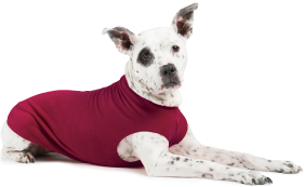 Gold Paw Fleece Garnet Size 22