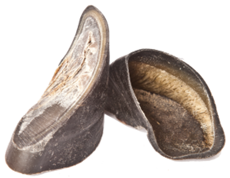 Nature's Own Moo Shoes (Cow Hoof) Dog Treat