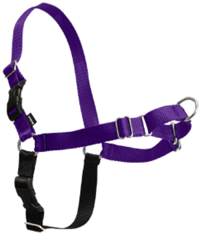Premier Easy Walk Dog Harness Large Purple