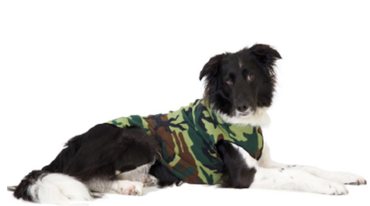 Gold Paw Fleece Camo Size 22