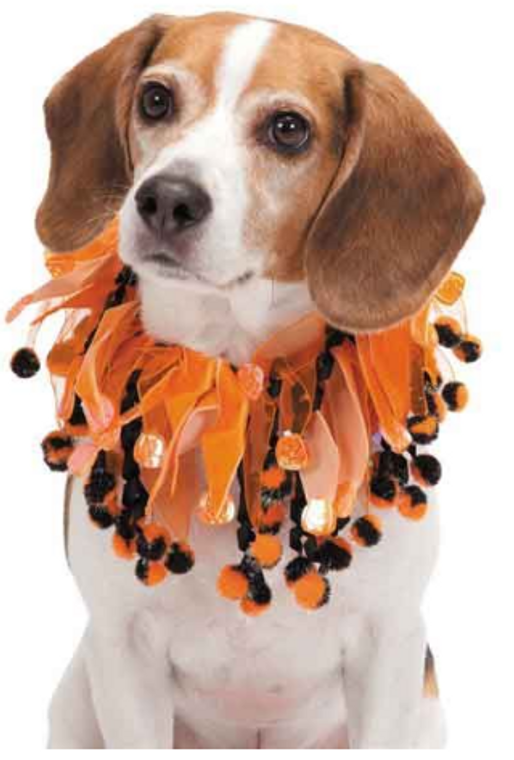 AR Large 17"-19"Pumpkin & PomPom Scrunchy Assorted