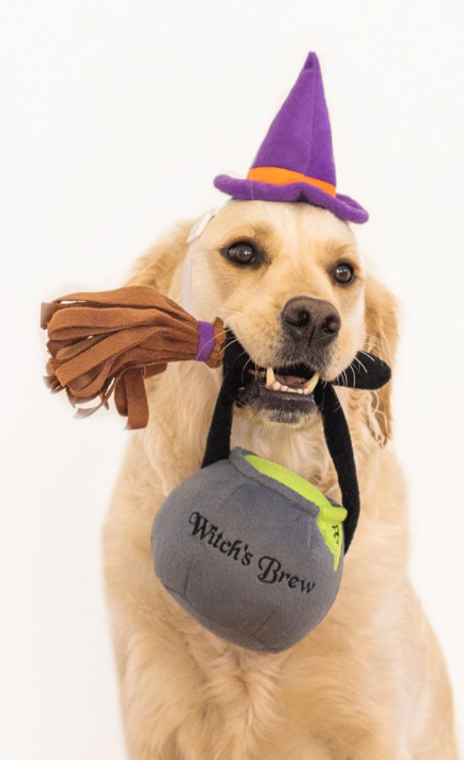 Zippy Paws Halloween Costume Kit Witch