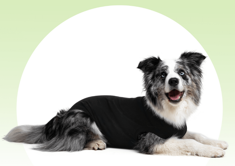 Suitical Recovery Suit Dog Black Small+