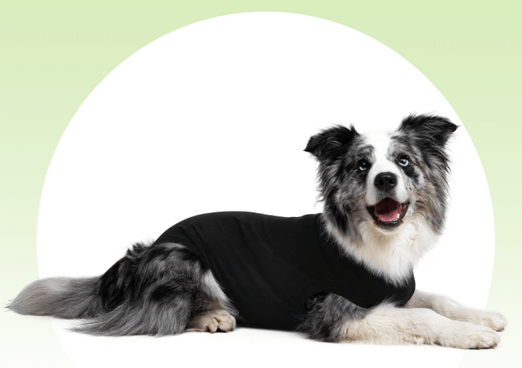 Suitical Recovery Suit Dog Black Medium+