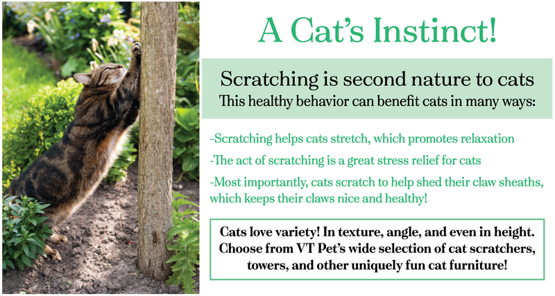 The important benefits of why cats must scratch!