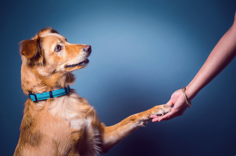 ​Share our pride for A+ Customer Service!