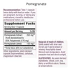 Pomegranate 60 capsules Standardized Extract Supports Antioxidant Activity