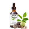 Black Walnut Herbal Remedy