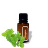 Oregano Essential Oil