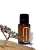 Frankincense Essential Oil