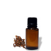 Clove Essential Oil