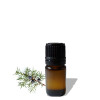 Juniper Berry Essential Oil