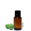 Bergamot Essential OIl