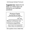 Echinacea Herbal Tincture