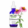 Echinacea Herbal Tincture