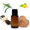 Outdoor Blend of Essential Oils