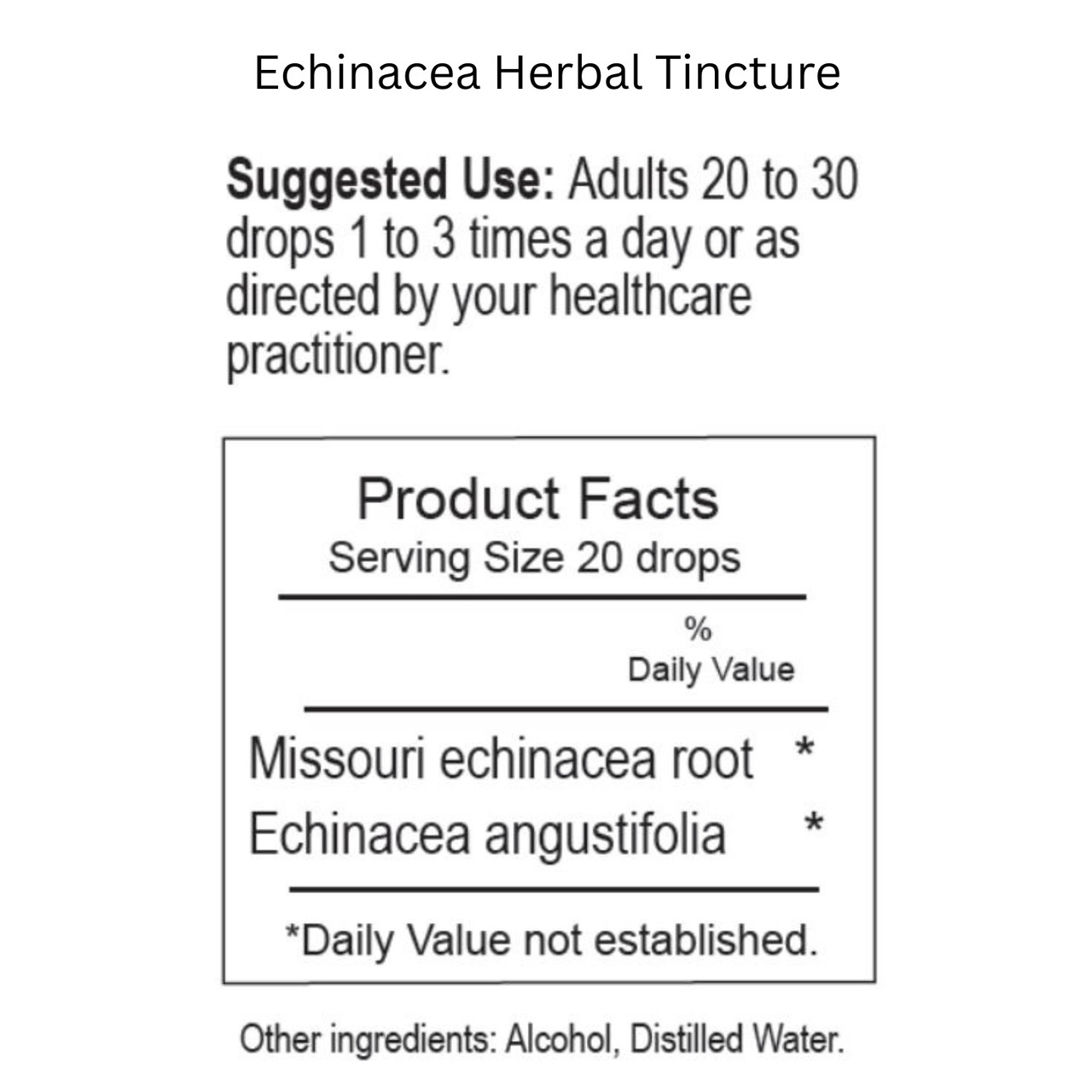 Echinacea