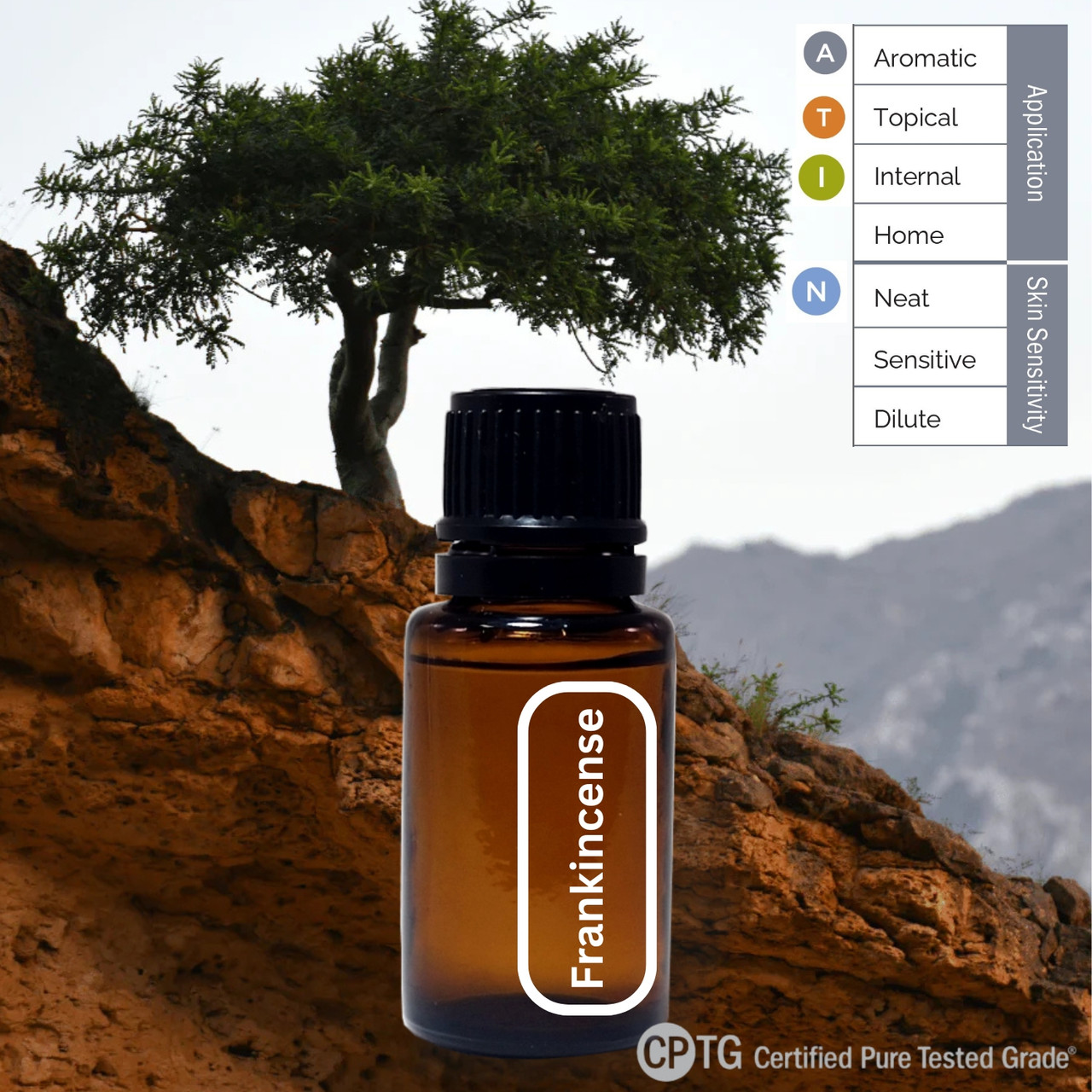 Frankincense Essential Oil