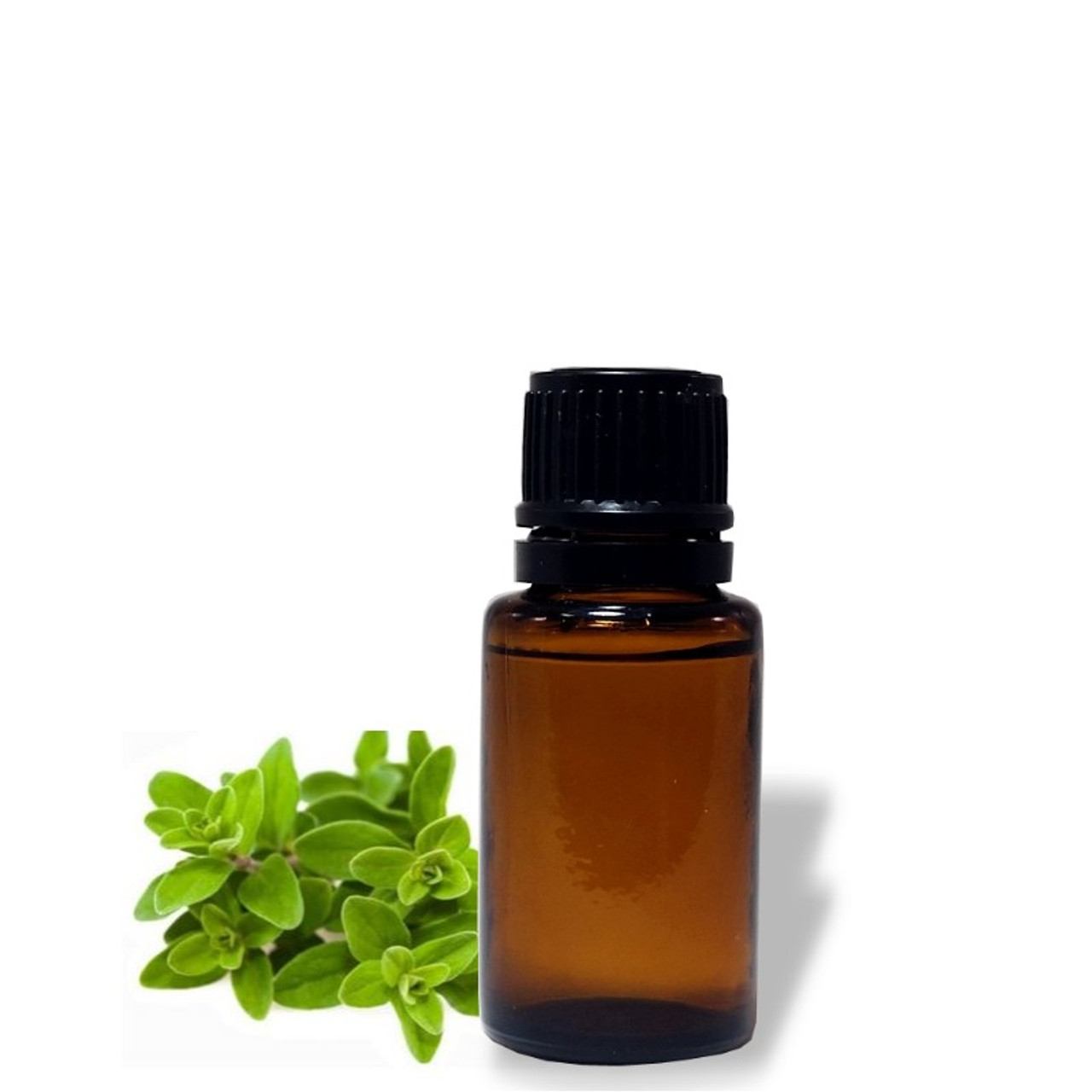 Marjoram Essential OIl