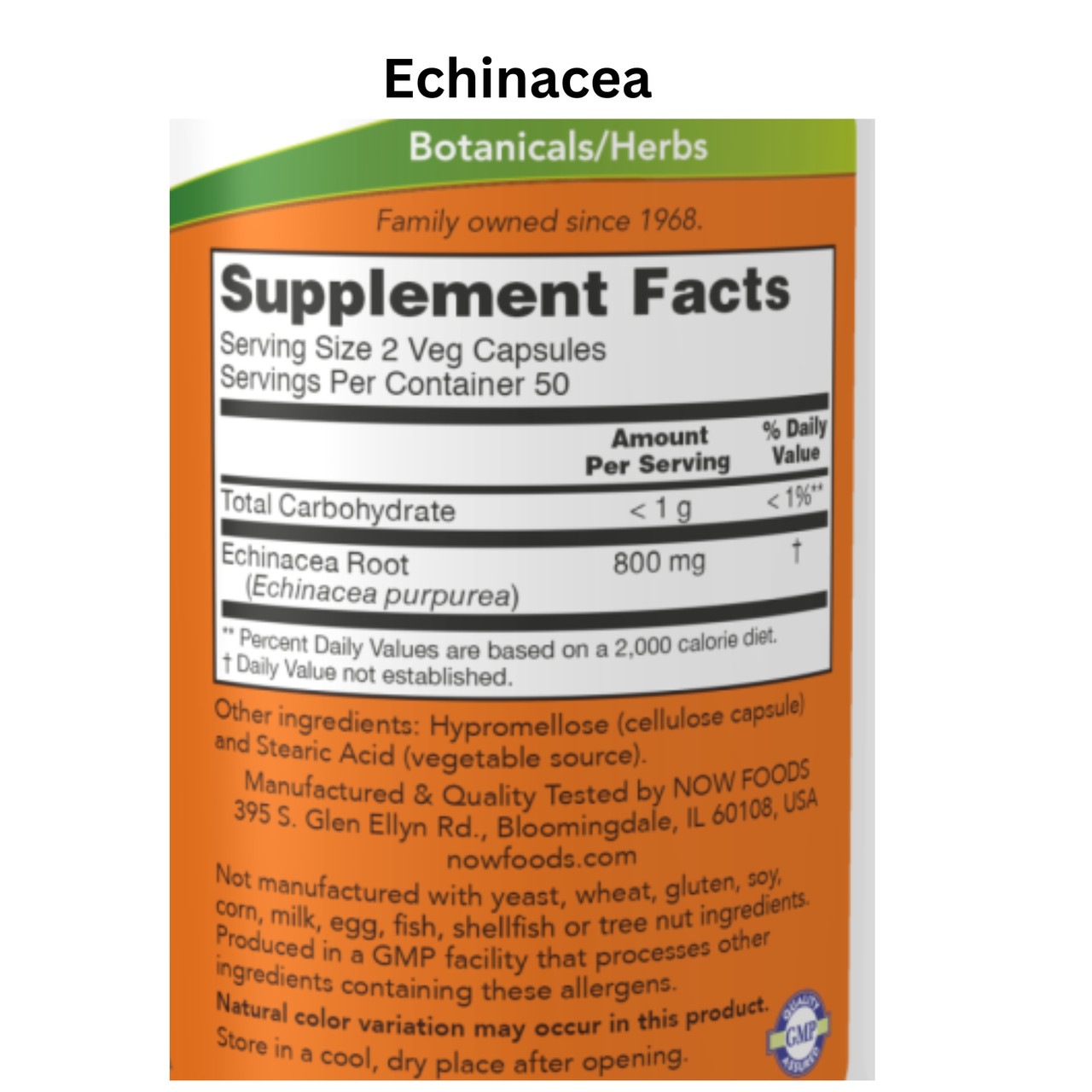 Echinacea Root