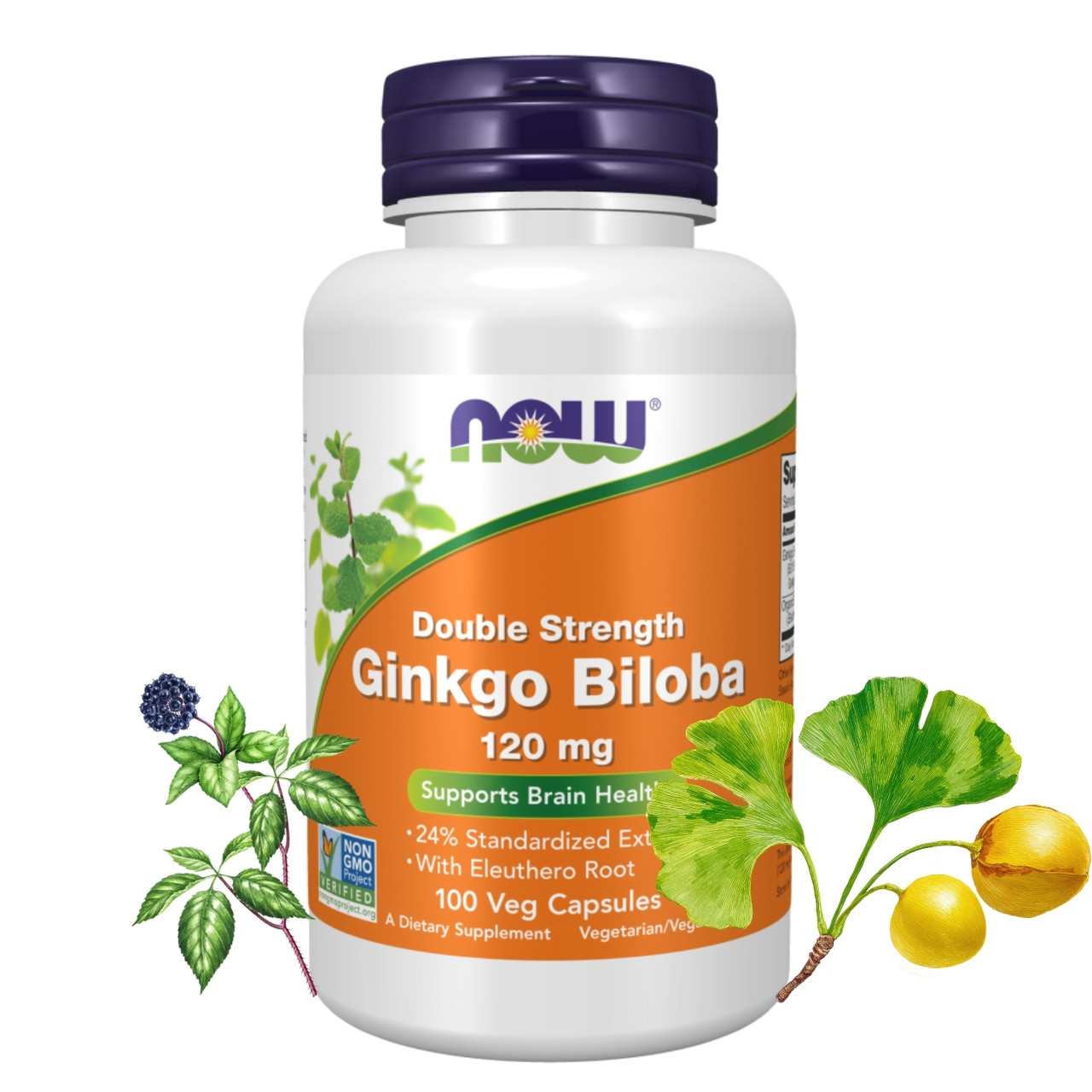 Ginkgo Biloba Capsules