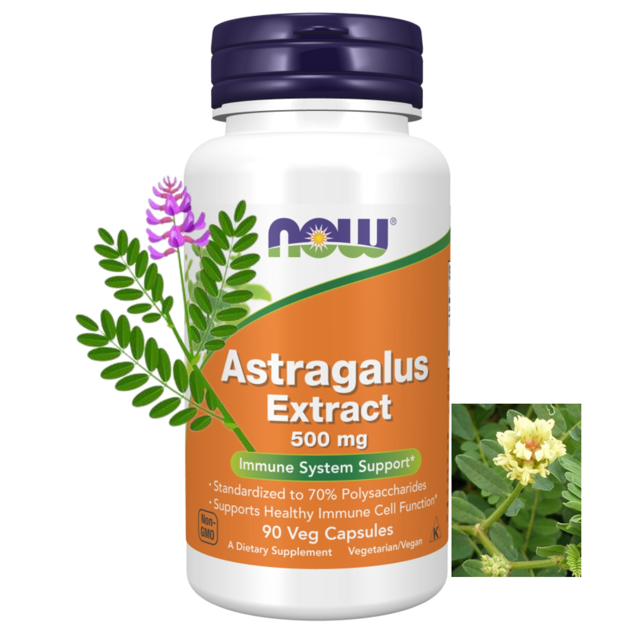 Astragalus Extract 500 mg