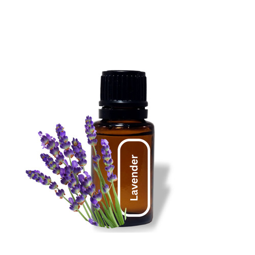 Lavender Essential Oil