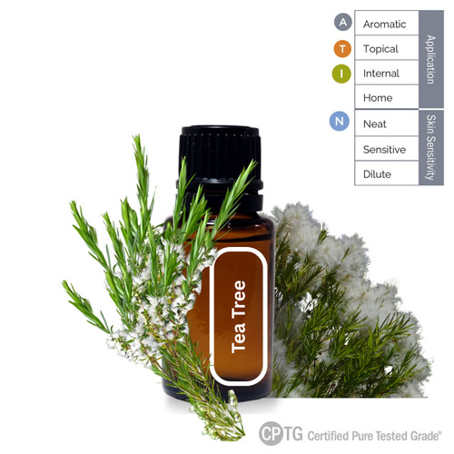 Tea Tree (Melaleuca) Essential Oil