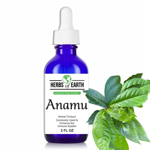 Anamu Herbal Tincture