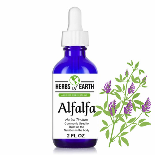 Alfalfa Herbal Tincture