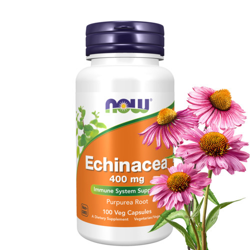 Echinacea Root