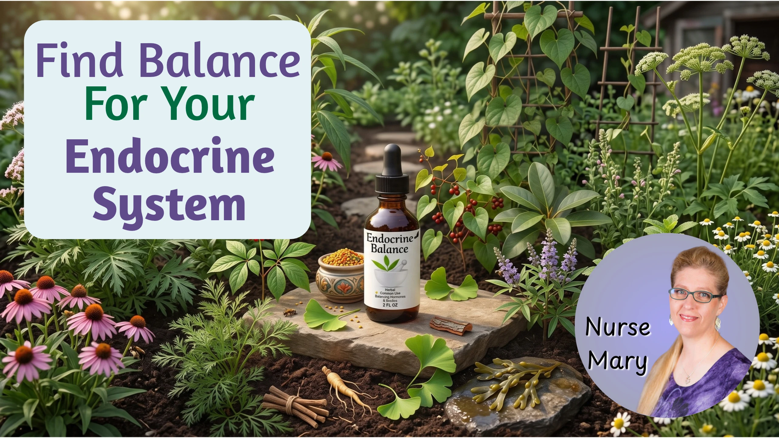 A Guide to Endocrine Balance
