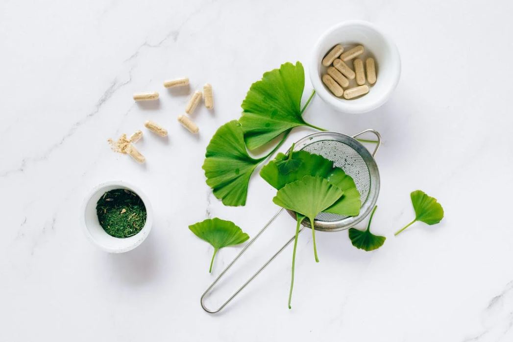 Ginkgo Biloba - An Ancient Remedy