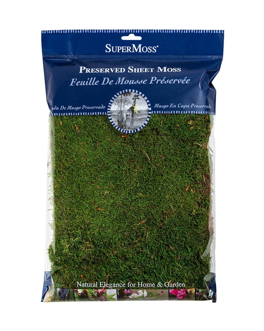Forest Moss Preserved