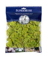 SuperMoss Reindeer Moss Preserved Chartreuse - 4oz