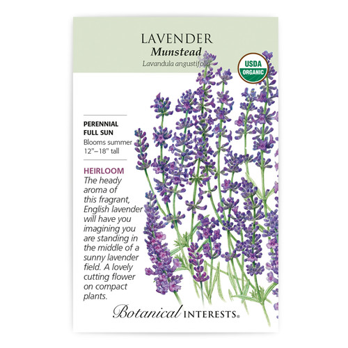 Munstead Lavender Organic