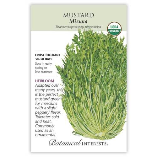 Mizuna Mustard Seeds Organic Heirloom