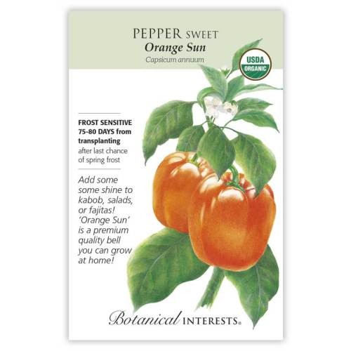Orange Sun Sweet Pepper Organic Heirloom